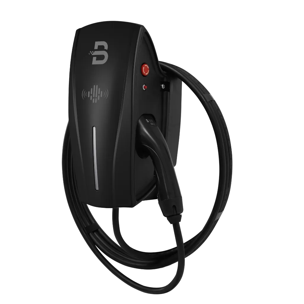 Tethered - 6_cropped_processed_by_imagy.webp