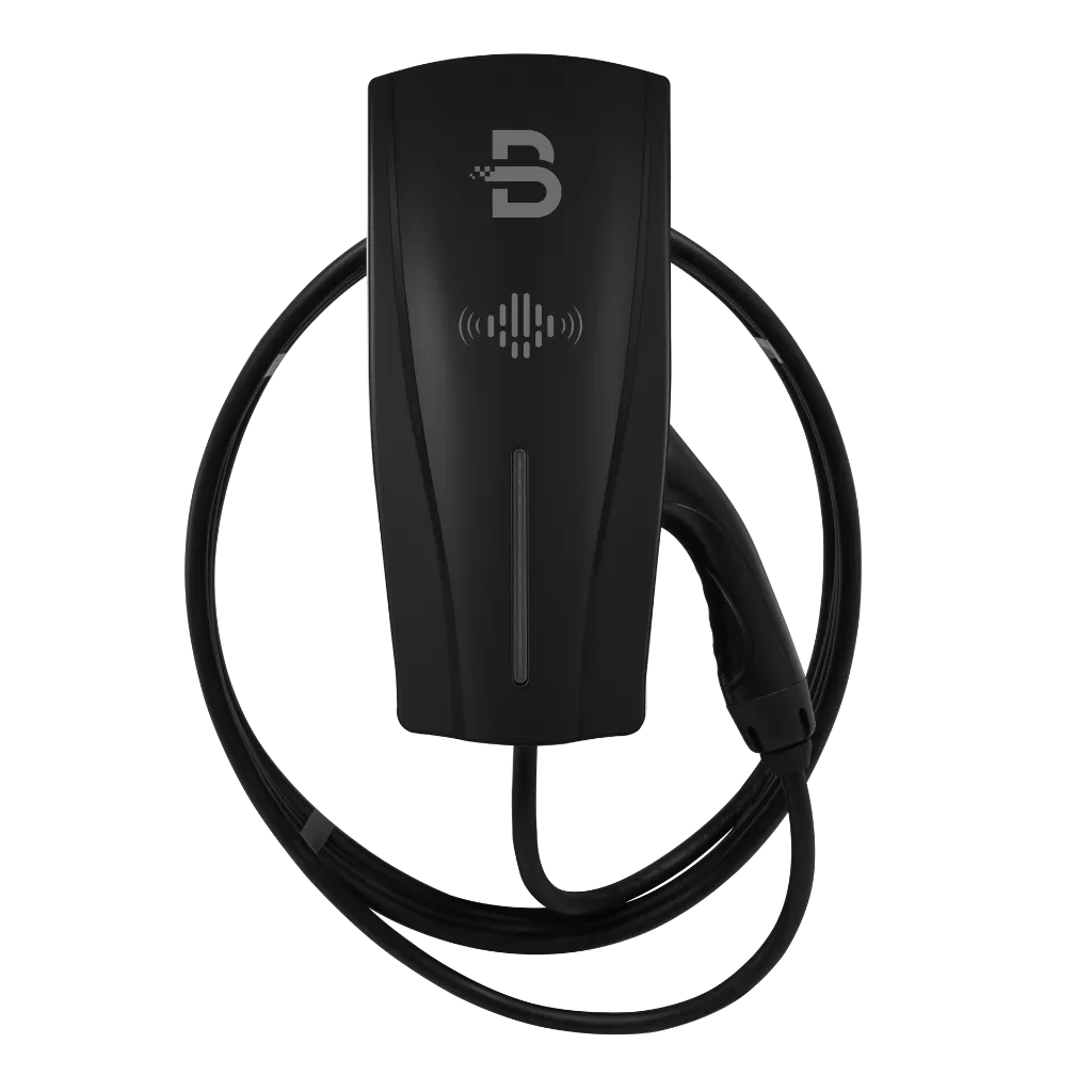 Tethered - 5_cropped_processed_by_imagy.webp