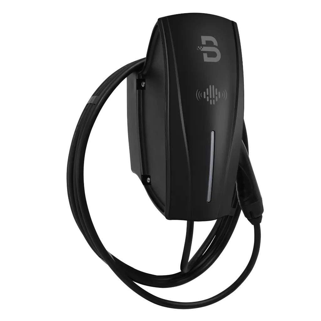 Tethered - 4_cropped_processed_by_imagy.webp