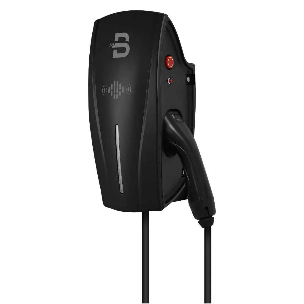 Tethered - 2_cropped_processed_by_imagy.webp